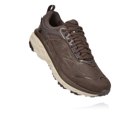 Hoka One One Challenger Low Gore-tex Moški Pohodniški Čevlji Kava SI-826930X